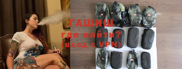 хмурый Пересвет