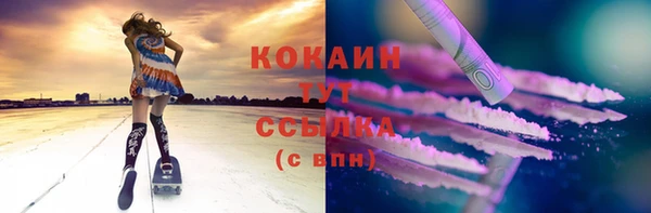 хмурый Пересвет