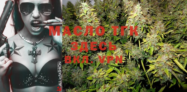 хмурый Пересвет