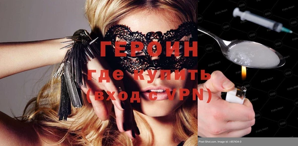 хмурый Пересвет