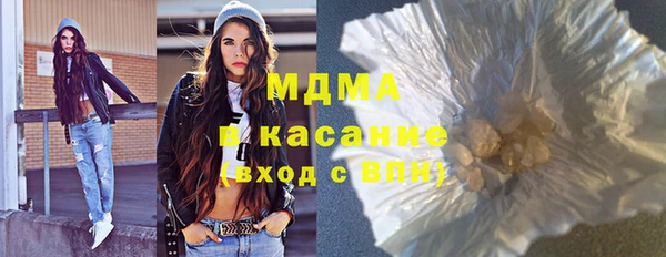 хмурый Пересвет