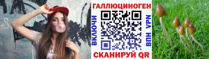 Галлюциногенные грибы GOLDEN TEACHER  Купить где  Ува 